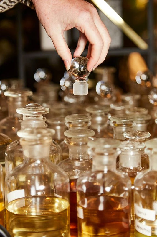 The History of Perfume: From Ancient Egypt to Modern Day