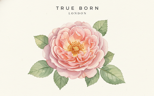 What is Natural Perfume? The Complete Guide to Clean, Botanical Fragrance