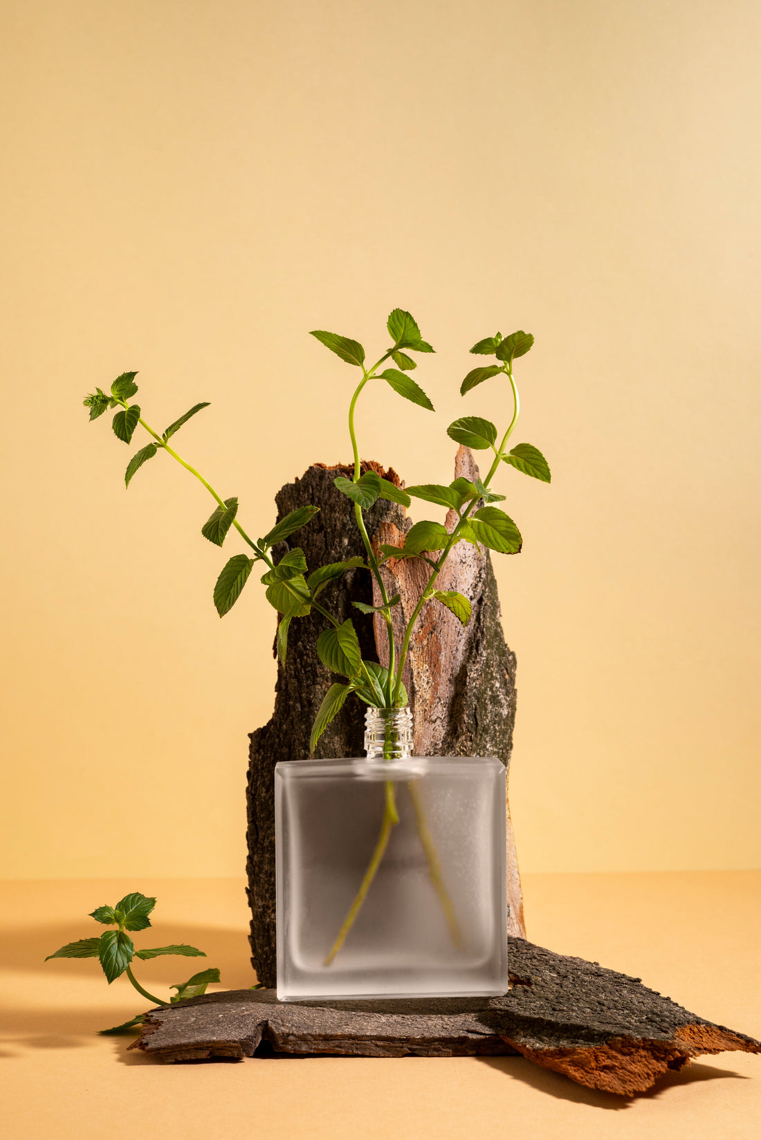 Natural Perfumes Without Chemicals UK: Are They Really Chemical-Free? 