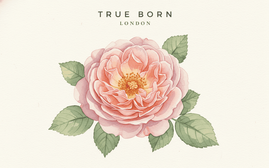 What is Natural Perfume? The Complete Guide to Clean, Botanical Fragrance