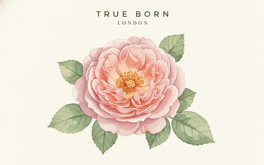 What is Natural Perfume? The Complete Guide to Clean, Botanical Fragrance